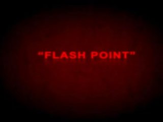 Flashpoint: 素晴らしい として 地獄
